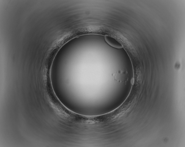 X0000095910542200801111234