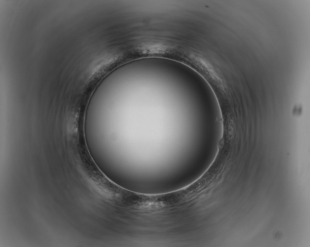 X0000095910543200801111234
