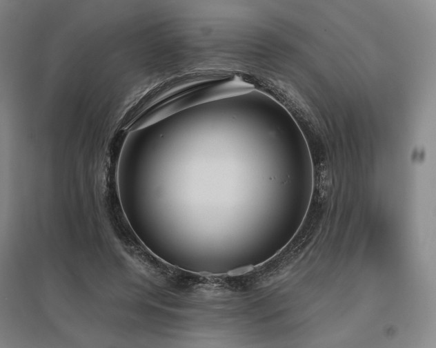 X0000095910544200801111234