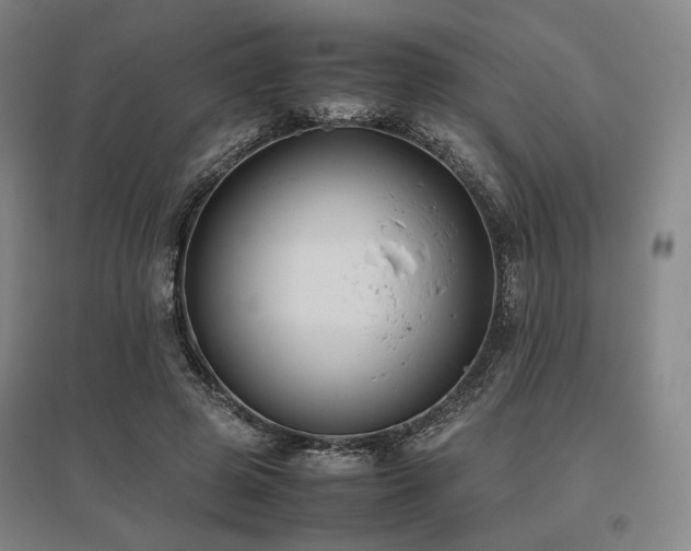 X0000095910545200801111234