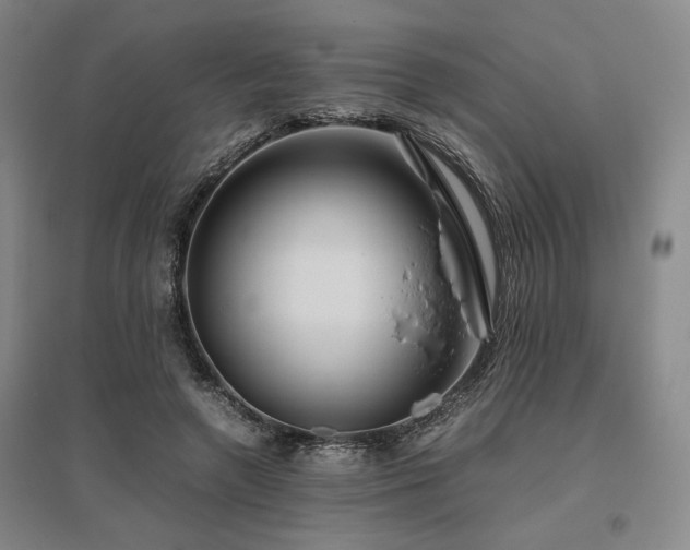 X0000095910546200801111234