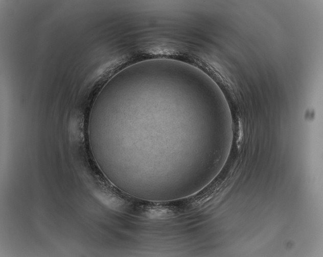 X0000095910547200801111234