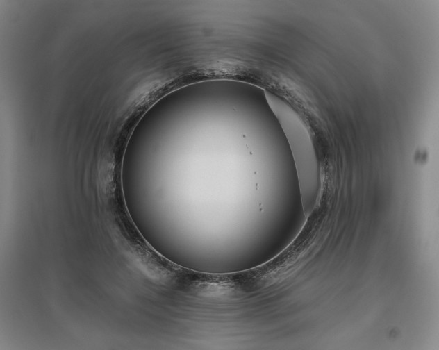 X0000095910548200801111234