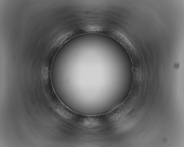 X0000095910549200801111234