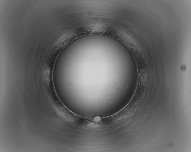 X0000095910550200801111234