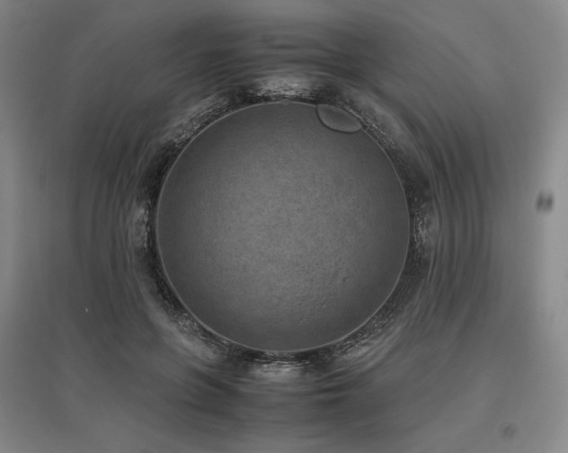 X0000095910551200801111234