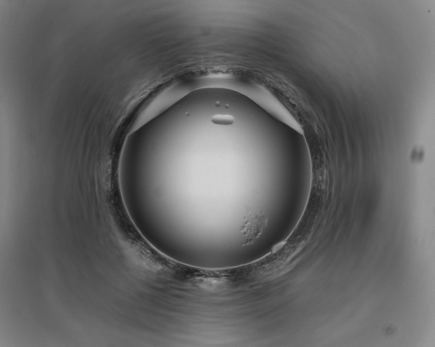 X0000095910552200801111234