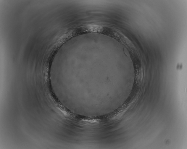 X0000095910553200801111234