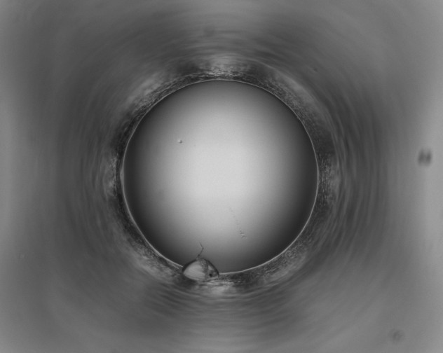 X0000095910554200801111234