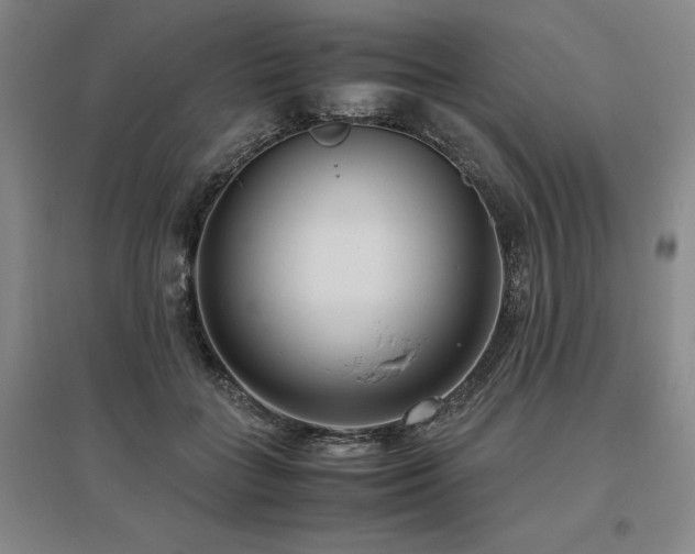 X0000095910555200801111234