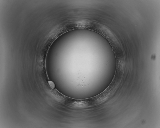 X0000095910557200801111234