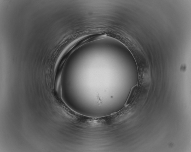 X0000095910558200801111234