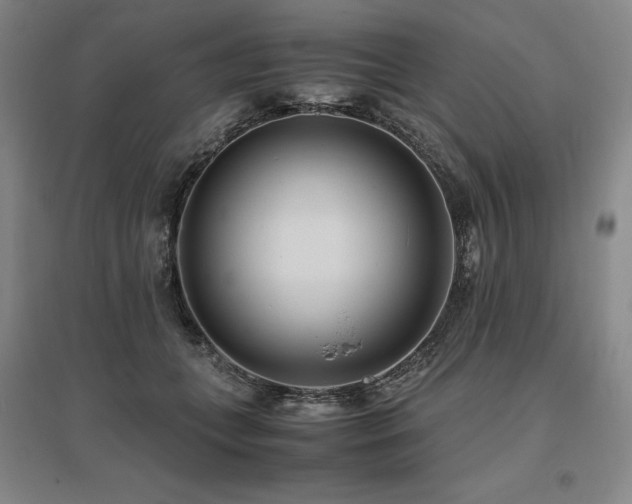 X0000095910559200801111234