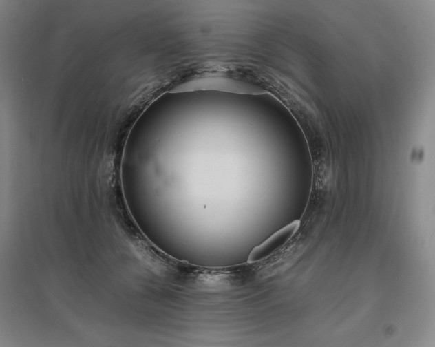 X0000095910560200801111234