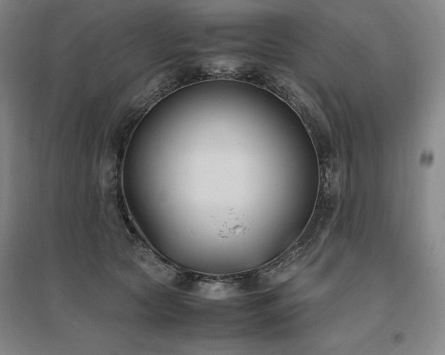 X0000095910561200801111234