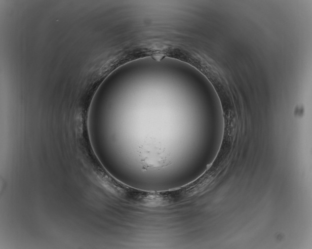 X0000095910562200801111234