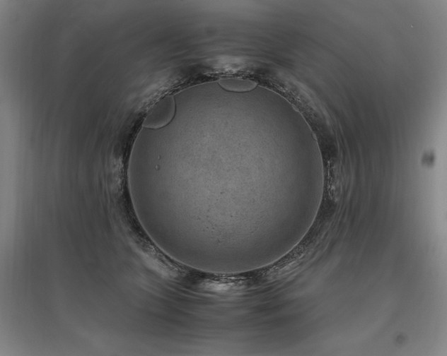 X0000095910563200801111234