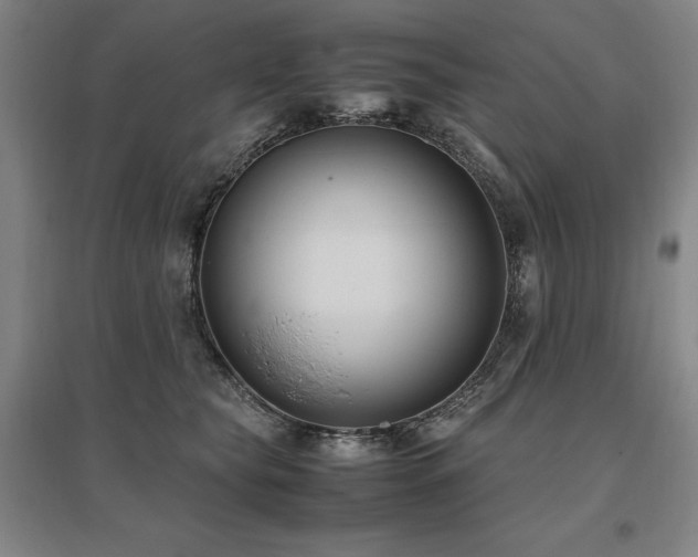 X0000095910565200801111234