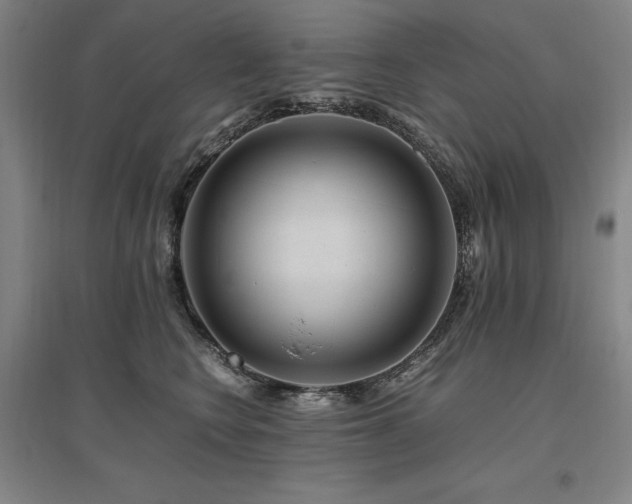X0000095910566200801111234