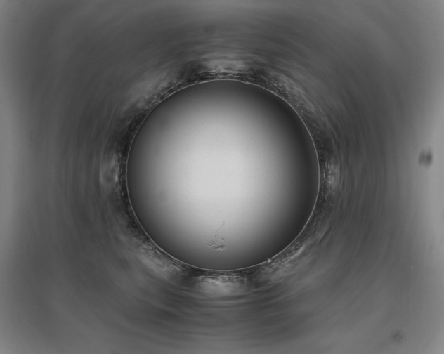 X0000095910567200801111235
