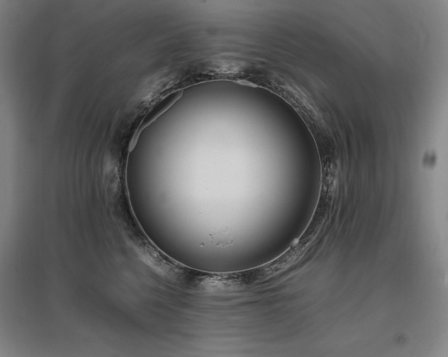 X0000095910568200801111235