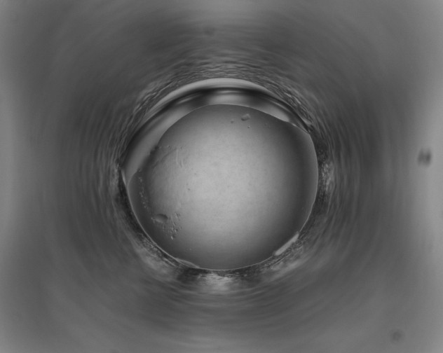 X0000095910570200801111235