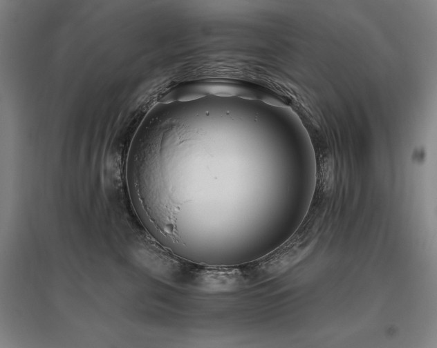 X0000095910571200801111235