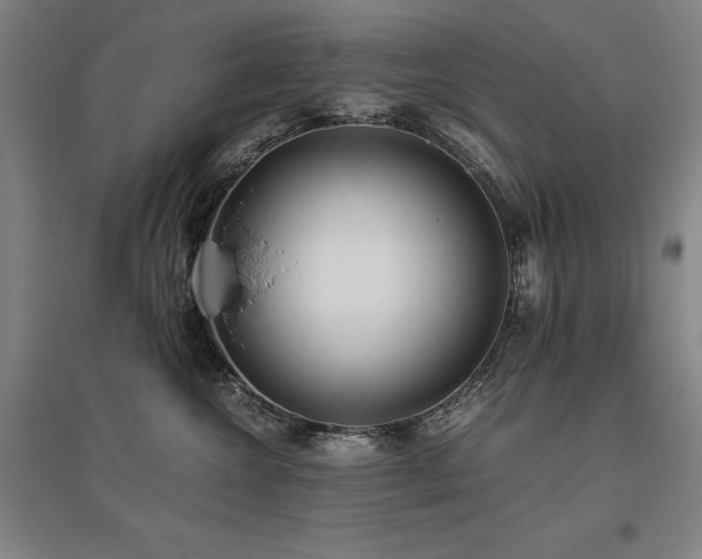 X0000095910572200801111235