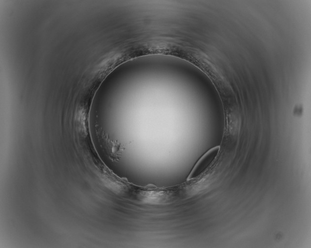 X0000095910575200801111235