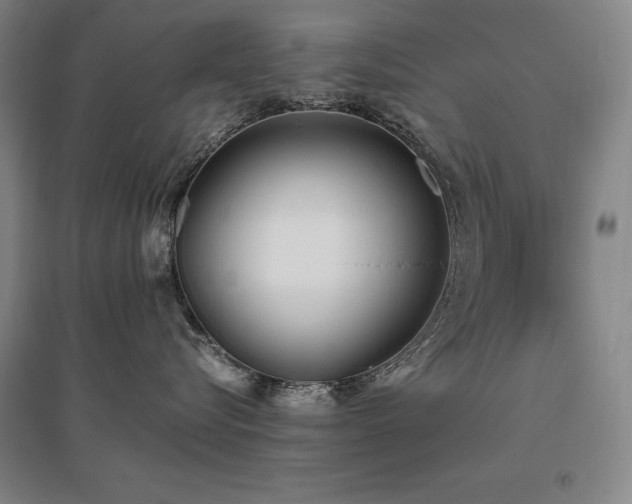 X0000095910576200801111235