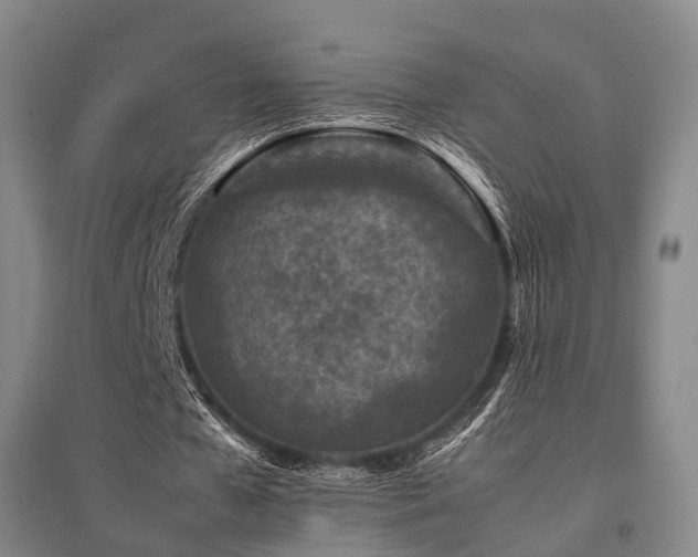 X0000095910577200801111234