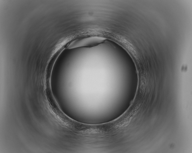 X0000095910578200801111234