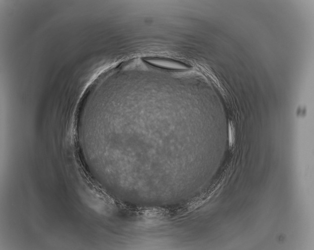 X0000095910579200801111234