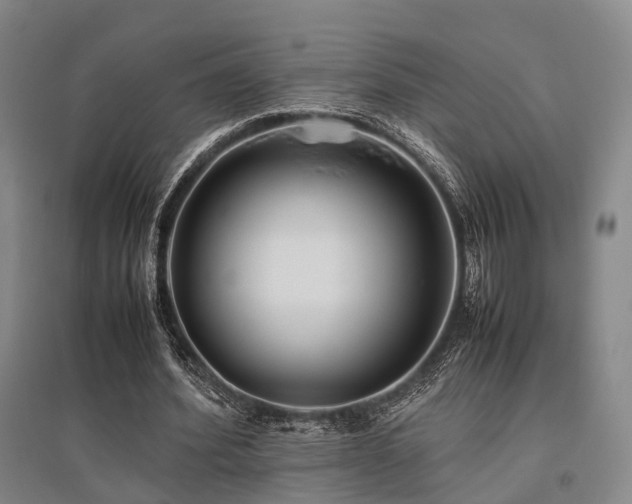 X0000095910580200801111234