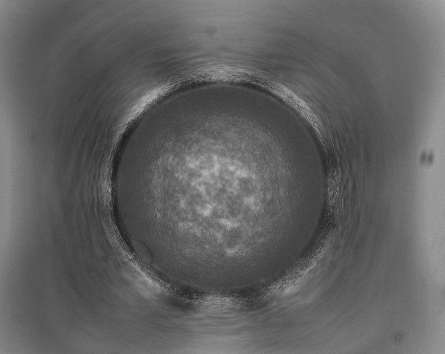 X0000095910581200801111234