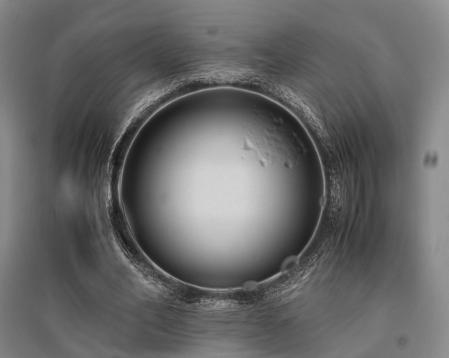 X0000095910582200801111234