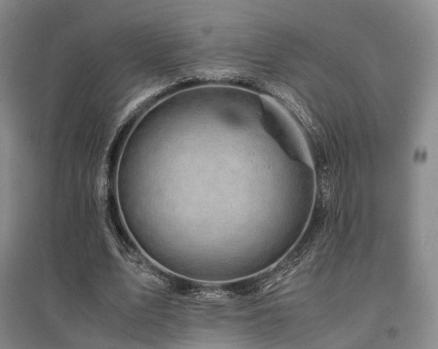 X0000095910583200801111234