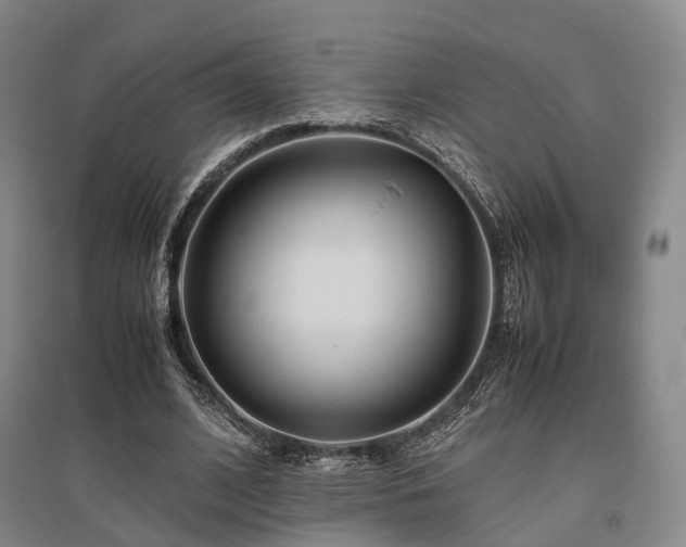 X0000095910584200801111234
