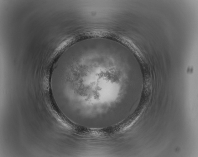 X0000095910585200801111234
