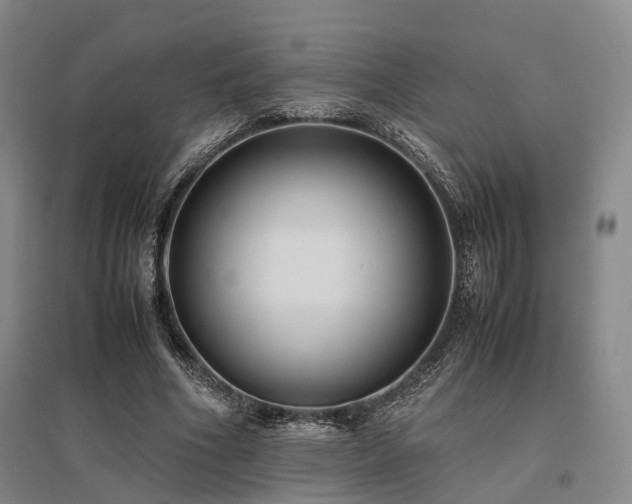 X0000095910586200801111234