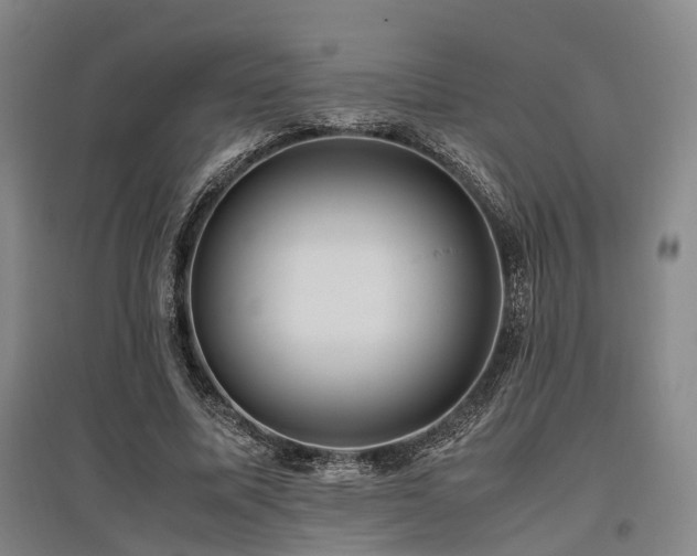 X0000095910587200801111234