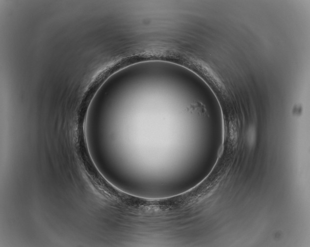 X0000095910588200801111234