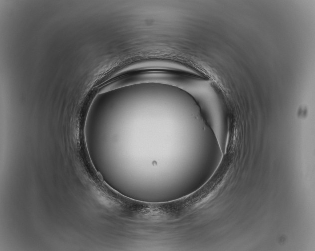 X0000095910589200801111234