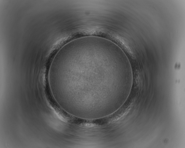 X0000095910590200801111234