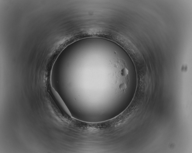 X0000095910592200801111234