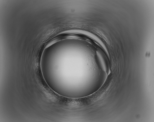 X0000095910593200801111234