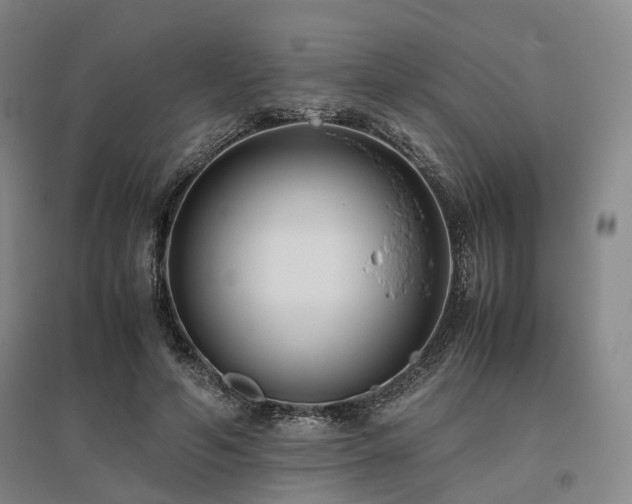 X0000095910594200801111234