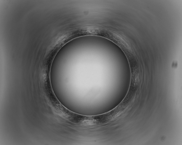 X0000095910595200801111234