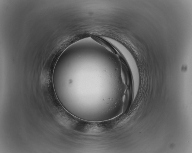 X0000095910597200801111234