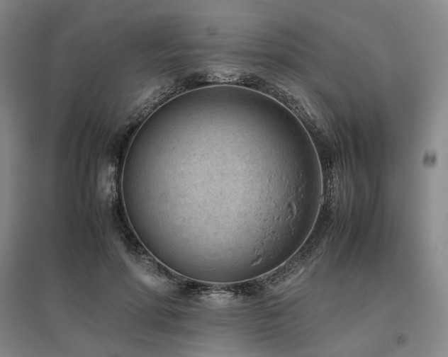 X0000095910598200801111234